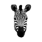 Exploding Zebra logo